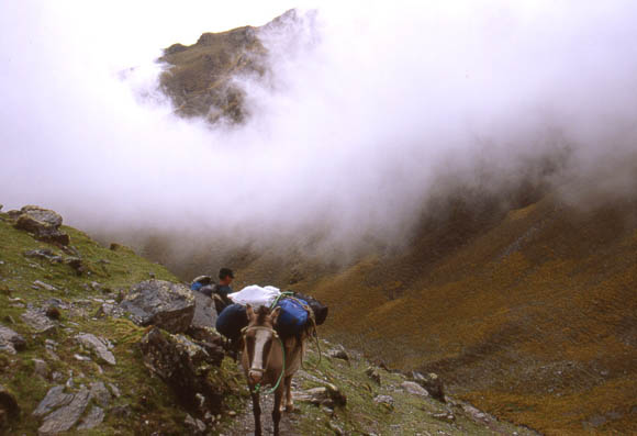 Die Wanderung mit Aufstiegshilfe fr die Ruckscke