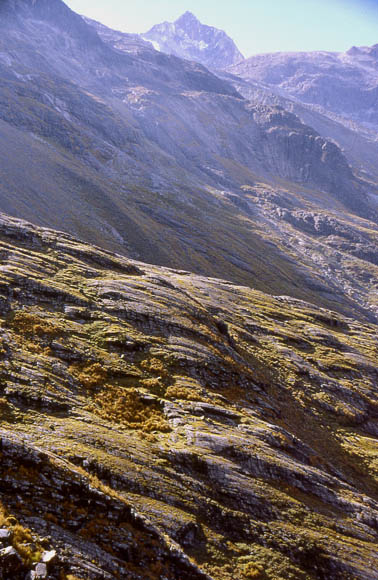 Von Gletschern glattgeschliffene Felsen