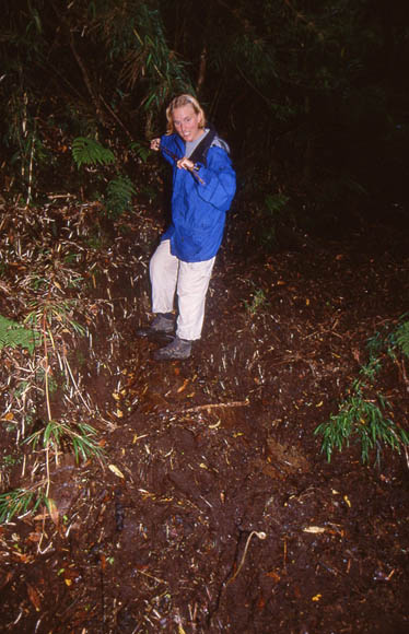 Berit auf regennassen Wanderwegen