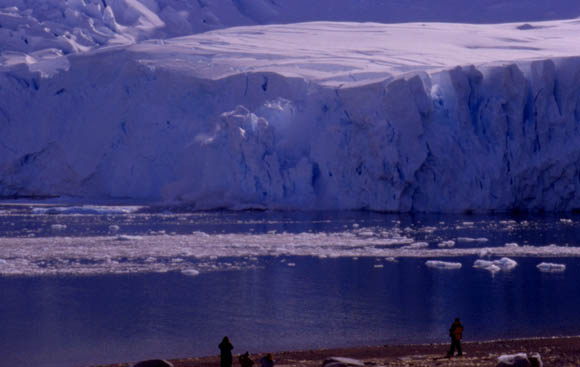 Noch fast eisfreie Bucht vor dem Gletscherbruch