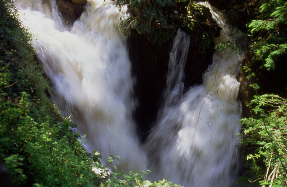 Die Flle sind in tropische Vegetation eingebettet