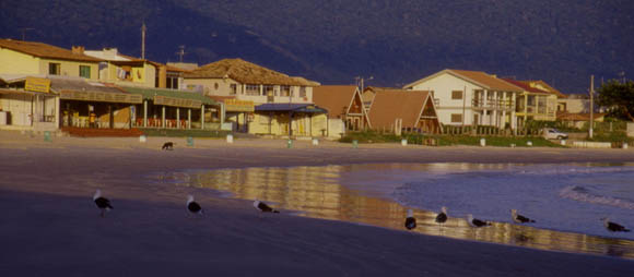 Die Huser am Meer in der ersten Morgensonne auf der Isla Catalina